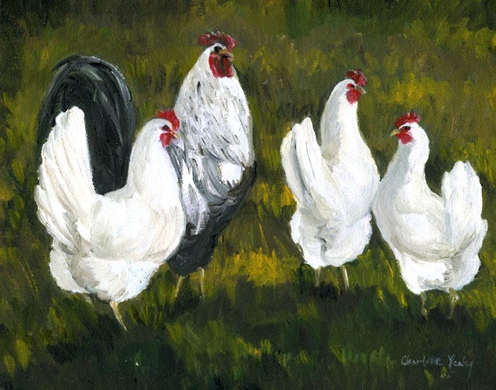 "Hens & Rooster"