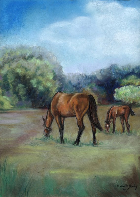 "Horse Pasture" - pastel