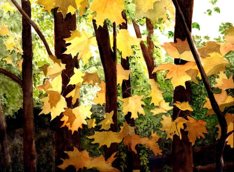 "Maple Leaves"
