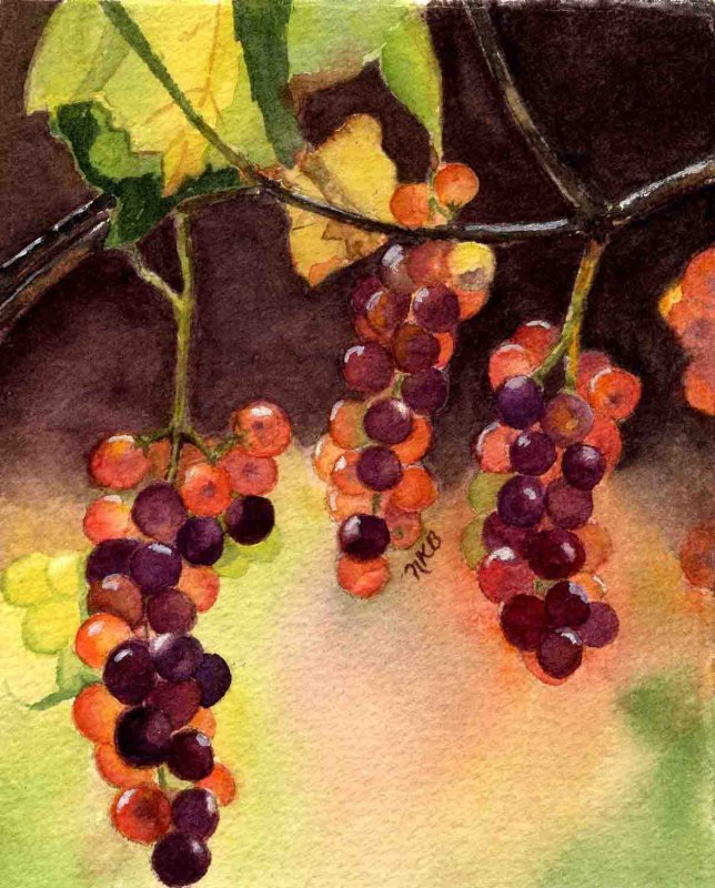 "Vino Grapes"