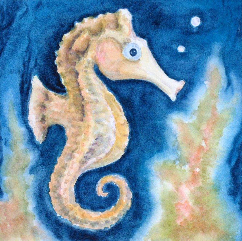 "Sea Horse Blessing"
