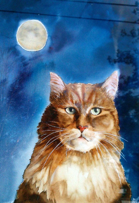 "Moon Cat"